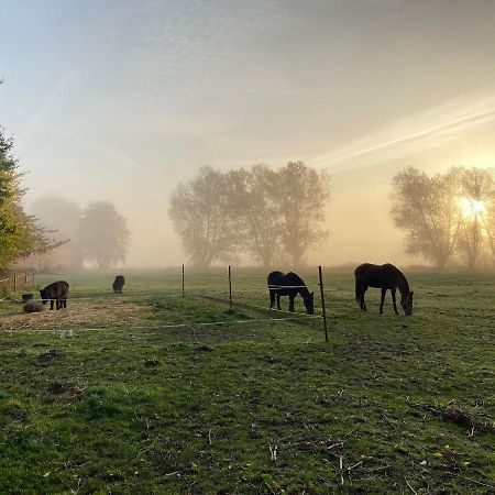Rosenlund Gods - Kaelder B&B Sakskobing Luaran gambar